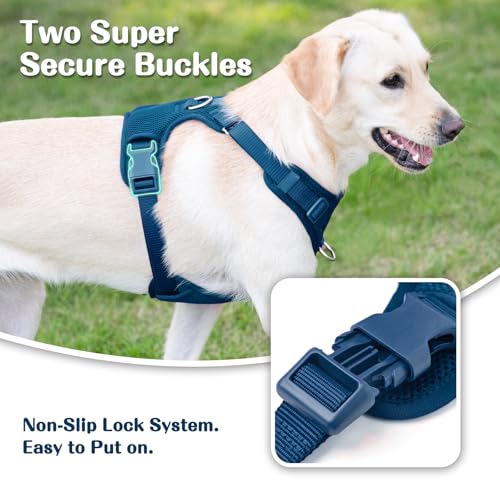 No Pull Dog Harness for Small Medium Large Dogs - Adjustable 2 Layer Mesh Dog Vest with Dual Clip, Escape Proof, Quick Release, Lightweight Breathable Mesh for Walking Hiking (Prussian Blue,S)