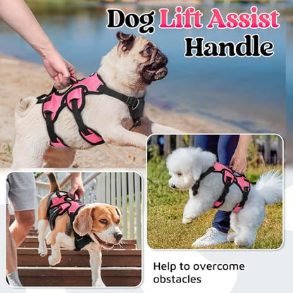 rabbitgoo Escape Proof Dog Harness, Soft Padded Full Body Pet Harness, Reflective Adjustable No Pull Vest with Lift Handle and Leash Clip for Large Dogs Walking Hiking Training, S, Pink - color: Pink, size: Small (Pack of 1)