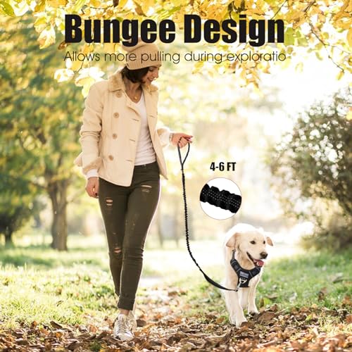 BUMBIN 6Ft Bungee Leash With 2 Handles for Large, Medium, Small Dogs - Heavy Duty, No Pull Shock Absorbing With Car Seat Belt for Training, Black - color: Black