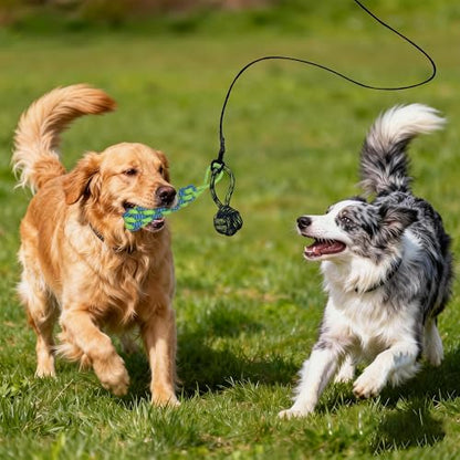 Flirt Pole for Dogs, Interactive Dog Toys Extendable Teaser Wand with Lure Chewing Toys, Chase and Tug of War for Small Medium Large Dogs Training Playing Exercise - size: 40.5Inch Pole-Gold