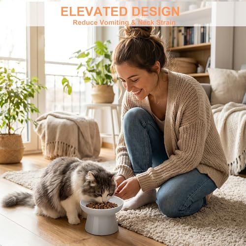 Elevated Ceramic Cat Bowl – Wide Whisker-Friendly Raised Design to Reduce Vomiting & Improve Digestion, Non-Slip Base, Lead & Cadmium Free, Dishwasher Safe (Grey) - color: Grey