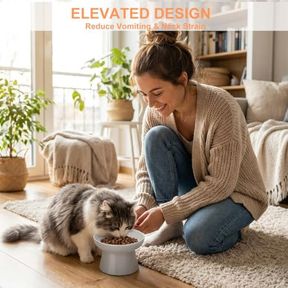 Elevated Ceramic Cat Bowl – Wide Whisker-Friendly Raised Design to Reduce Vomiting & Improve Digestion, Non-Slip Base, Lead & Cadmium Free, Dishwasher Safe (Grey) - color: Grey