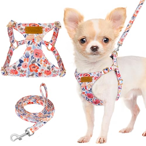 Lukovee Puppy Harness and Leash Set, No Pull Lightweight Soft Suede Adjustable Pet Harness Vest with Snap Buckle for Puppy Small and Medium Size Dog (Flower-XS) - color: Flower, size: X-Small ( 5.5-11lb )