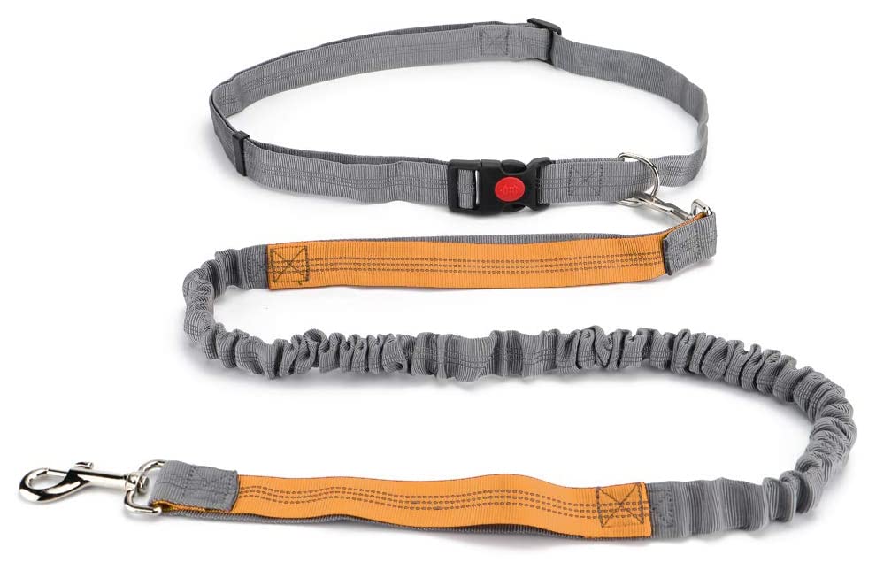 Hands Free Dog Leash, Retractable Dual Handle Bungee Leash, Adjustable Waist Dog Running Belt for Running, Walking, Training, Hiking, Traveling（Gray/Orange） (YUNDA9214)