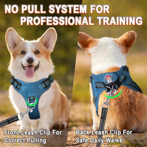 BARKBAY Dog Harness, Reflective Adjustable Step-in Vest Harness, Blue/Black, XXS - color: Blue/Black, size: XX-Small