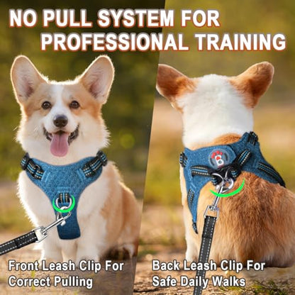 BARKBAY Dog Harness, Reflective Adjustable Step-in Vest Harness, Blue/Black, XXS - color: Blue/Black, size: XX-Small