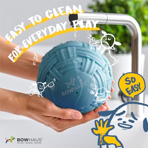 BOWHAUS Knitted Style Giggle Ball for Dogs, 5.5 Inch Interactive Dog Exercise Toys, Indestructible Fun Squeaky Chew Toy, Non-Toxic Durable PVC Chew Ball for Indoor Outdoor Play - style: Giggle Ball - Knitted Style