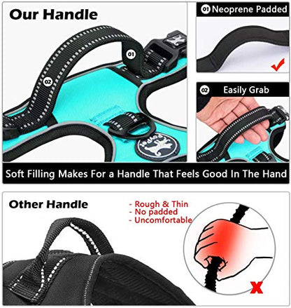 PoyPet No Pull Dog Harness, No Choke Front Lead Dog Reflective Harness, Adjustable Soft Padded Pet Vest with Easy Control Handle for Small to Large Dogs(Mint Blue,XS) - color: Mint Blue, size: XS