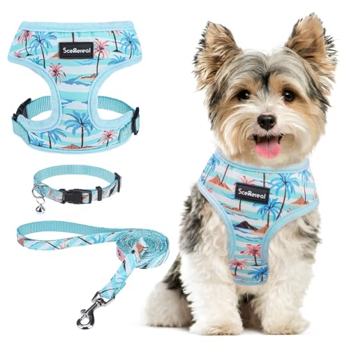 SCENEREAL Small Dog Harness and Leash Collar Set - No Pull Dog Harness for Small & Medium Sized Dogs - Soft Mesh Vest for Puppies, Chihuahua, Yorkie, Spring Summer Hiking Walking, Coconut Tree XS - color: Blue-Coconut Tree, size: XS: Chest Girth: 10"-14"