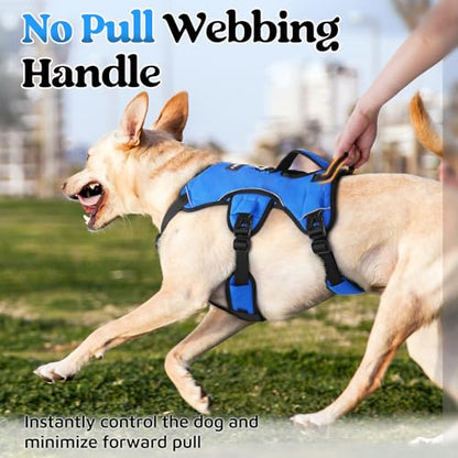 rabbitgoo Escape Proof Dog Harness, Soft Padded Full Body Pet Harness, Reflective Adjustable No Pull Vest with Lift Handle and Leash Clip for Large Dogs Walking Hiking Training, M, Blue - color: Blue, size: Medium (Pack of 1)
