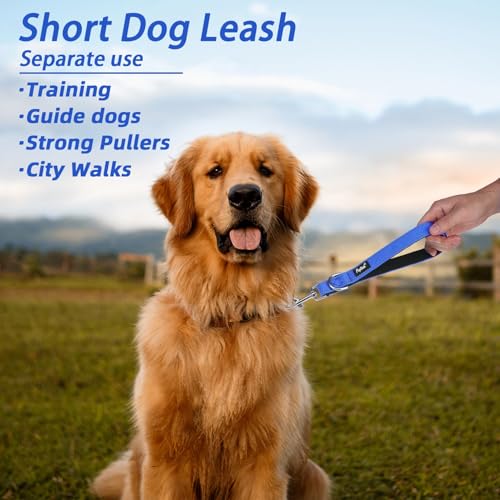 PUPTECK Chew Proof Dog Leash with Detachable Short Leashes Padded Handle Reflective, Heavy Duty Steel Cable Lead for Small Medium Large Dogs Training Walking, Blue 4.9ft - color: Blue