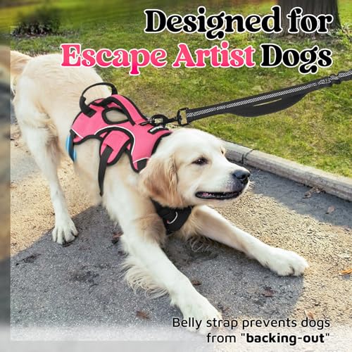 rabbitgoo Escape Proof Dog Harness, Soft Padded Full Body Pet Harness, Reflective Adjustable No Pull Vest with Lift Handle and Leash Clip for Large Dogs Walking Hiking Training, M, Pink - color: Pink, size: Medium (Pack of 1)
