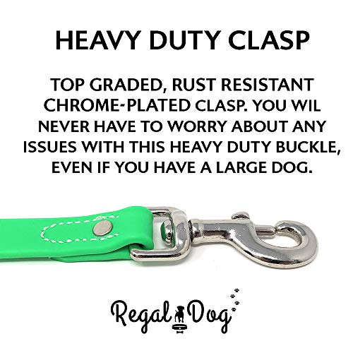 Regal Dog Products Waterproof Leash – 5 ft. Green Dog Leash with Easy to Use Collar Hook, Lightweight, and Proof Training Pet Lead with Vinyl-Coated Webbing for Small, Medium, Large, or XL Dogs - color: Green
