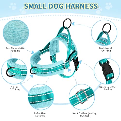 SlowTon No Pull Small Dog Harness and Leash Set, Puppy Soft Vest Harness Neck & Chest Adjustable, Reflective Lightweight Harness & Anti-Twist Pet Lead Combo for Small Medium Dogs(BL-Front Clip,XXS) - color: B-Teal - With Front Clip, size: XX-Small