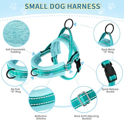 SlowTon No Pull Small Dog Harness and Leash Set, Puppy Soft Vest Harness Neck & Chest Adjustable, Reflective Lightweight Harness & Anti-Twist Pet Lead Combo for Small Medium Dogs(BL-Front Clip,XXS) - color: B-Teal - With Front Clip, size: XX-Small