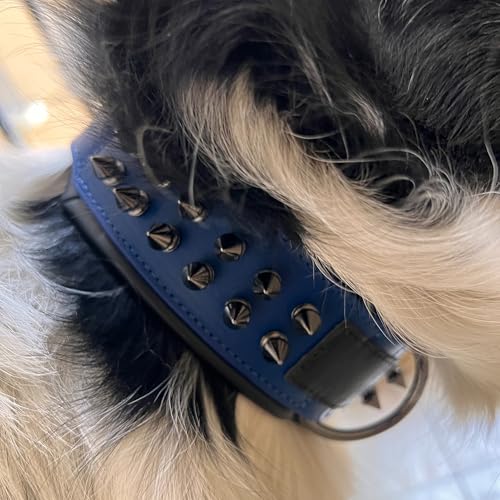 Luxury Leather Spike Dog Collar, Double-Layer Soft Cowhide, Punk Style for Medium and Large Dogs, Pit Bulls, Rowena (Blue,L-Neck 39-47cm) - color: Blue, size: L-neck 39-47cm