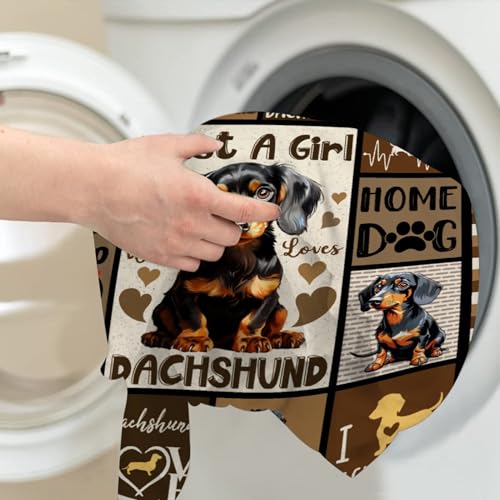 Just A Girl Dachshund Dog Blanket, Super Soft & Cozy, 90"x120" Family Size - color: Just a Girl Who Loves Dachshund, size: 90"x120"-Family Size