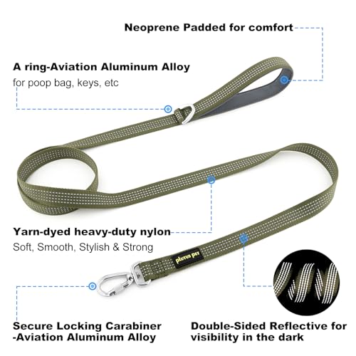 Plutus Pet Heavy Duty Dog Leash with Lockable Aluminum Carabiner, 4/6 Feet Long, Double-Sided Reflective Nylon, Padded Handle, for Puppy, Small, Medium and Large Dogs (Ranger Green, 1" x 6') - color: Ranger Green, size: 1" x 6'