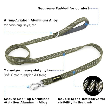 Plutus Pet Heavy Duty Dog Leash with Lockable Aluminum Carabiner, 4/6 Feet Long, Double-Sided Reflective Nylon, Padded Handle, for Puppy, Small, Medium and Large Dogs (Ranger Green, 4/5" x 4') - color: Ranger Green, size: 4/5" x 4'