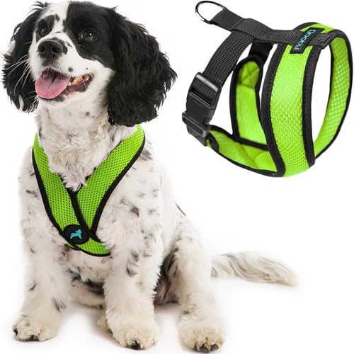 Gooby Comfort X Head in Harness - Green, Small - No Pull Dog Harness with Patented Choke-Free X Frame for Small to Medium Dogs Indoor/Outdoor Use - color: Green, size: Small Chest (11.75-15.5")