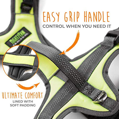 Mighty Paw Sport Harness 2.0 - Padded Canine Accessory - Adjustable Neck and Chest Straps - Enhanced Visibility with Reflective Stitching - Dog Padded Harness with Handle - Large - Green - color: Green