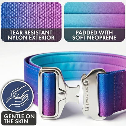 Spark Paws Tactical Dog Collar - Heavy Duty, Premium Quality, Thick and Durable for Large and Medium Dogs - 90s Retro - S - 1.5" - color: 90s Retro, size: S: 14"-19" [1.5" wide]