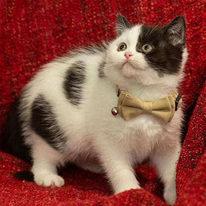 Cat Collar Breakaway Bowtie Safety with Bell Adjustbale Kitten Puppy Solid Plaid Color Set A-[2pcs] Pink & Blue Grey - color: A-[2pcs] Pink & Blue Grey