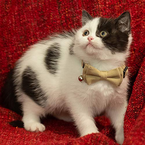 Cat Collar Breakaway Bowtie Safety with Bell Adjustbale Kitten Puppy Solid Plaid Color Set D-[2pcs] Beige - color: D-[2pcs] Beige