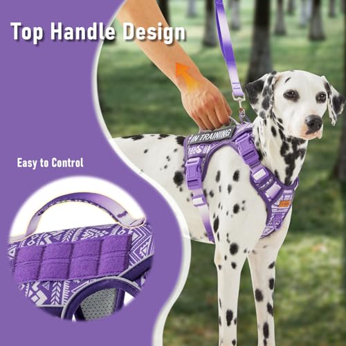 AUNZO Dog Vest Harness with 2 Patches, No Pull Dog Harness for Walking Training Hiking, Metal D-Rings Easy on/Off Neck Buckle Reflective Strips Soft Padded Handle, Purple - color: Purple Ethnic, size: Medium
