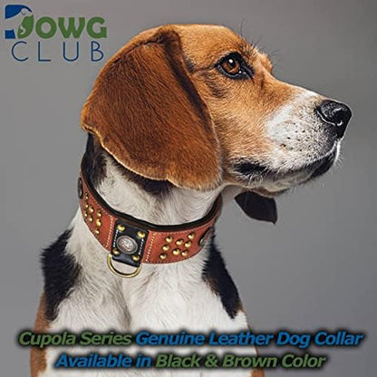 Premium Leather ‘Cupola’ Series Collar for Large Dogs | Celtic Conchos & Gold Dome Rivets | 2 Inch Wide | Soft, Heavy Duty, Cushion Padding | (L (Neck Size 18.5"-22.5"), Sable Black) - color: Sable Black, size: L (Neck Size 18.5"-22.5")
