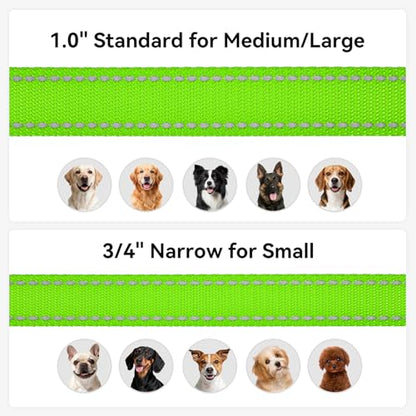 Joytale Dog Leash, 4 FT Double-Sided Reflective, Padded Handle Nylon Heavy Duty Leashes for Small Dogs Walking, Green - color: Green, size: 4 ft Narrow