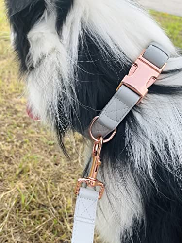 Dog Collar and Leash Set.Soft and Easy to Clean Vegan Leather with Rose Gold Metal Buckle for Small Medium Large Dogs (Grey, L(15.4”-24.8“) - color: Grey, size: L