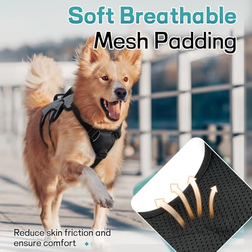 rabbitgoo Escape Proof Dog Harness, Soft Padded Full Body Pet Harness, Reflective Adjustable No Pull Vest with Lift Handle and Leash Clip for Large Dogs Walking Hiking Training, M, Grey - color: Grey, size: Medium (Pack of 1)