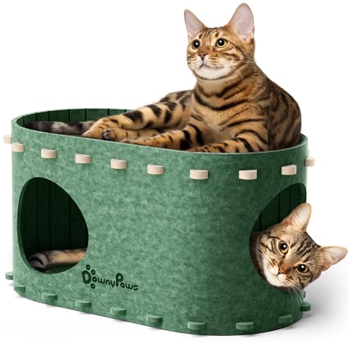 DownyPaws Cat House for Indoor Cats, Cat Bed Cave for Multiple & Large Cats Up to 22 Lbs, Scratch Resistant Peekaboo Cat Caves, Foldable Tunnel Enclosed Bed, PeekaPurr, Forest - color: Forest, size: Single