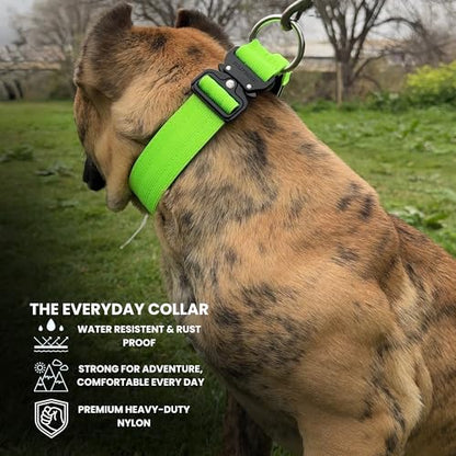 BULLYBREED | Heavy Duty Dog Leash, Tactical Dog Leash, Quick Release Frog Clip with Anti-Tangling Swivel System for Large Dogs that Pull with Soft Double Handles (5 FT Long, Neon Green) - color: Neon Green