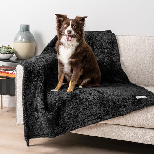 PetAmi Dog Blanket for Large Medium Dogs Black, Fluffy Soft Puppy Blanket, Sherpa Fleece Cat Blanket for Kitten Doggie, Calming Pet Blanket Throw for Bed Washable Sofa Couch Cover, Large 40x60 - color: Black, size: Large (40x60)