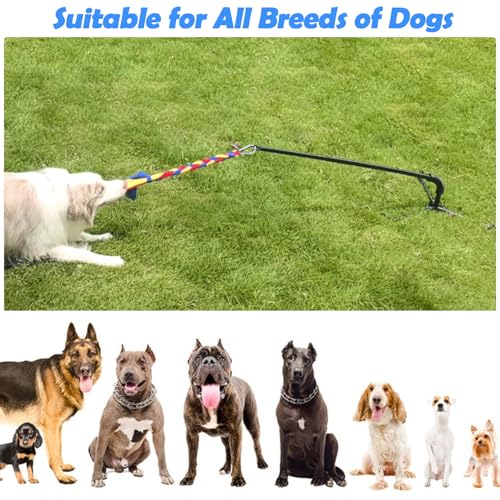 Tether Outdoor Dog Toy,Interactive Exercise Game in Yard Park Tug of War for Large Medium Small Dog Puppy with 2 Rope Toy and Bell Pull Chase and Solo Play