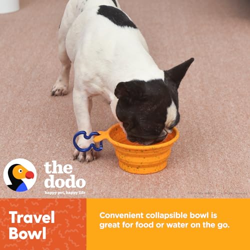 The Dodo Collapsible Dog Bowl, Yellow; Travel Dog Bowl That Folds Flat and Clips with Carabiner for Easy Storage and Carry - color: Yellow