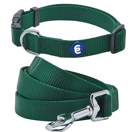 Blueberry Pet Essentials Matching Dog Collar and Leash Set in Verdant Green, Adjustable Classic Solid Color Nylon Collar with 4 ft Leash for Large Dogs - color: Verdant Green - Collar + Leash, size: Large