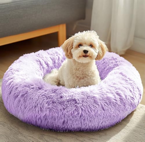 JOLLYVOGUE Dog & Cat Bed, Calming Anti-Anxiety Pet Bed for Small Dogs, Fluffy Donut Cushion for Small and Medium Pets (20") - color: Purple, size: 20"