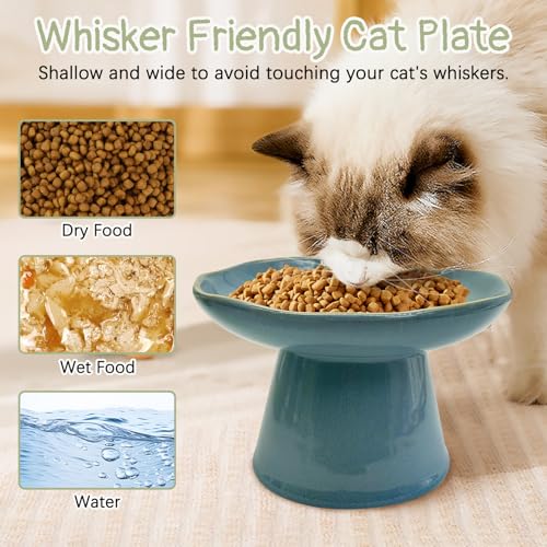 VCEPJH Raised Cat Food Bowls Shallow Cat Plate Ceramic Elevated Cats Dish 6.1in Flat Anti Whisker Fatigue Wide Pet Food & Water Feeder for Indoor Kitty Kitten (Blue) - color: blue