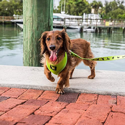 EcoBark Dog Harness - Eco-Friendly Max Comfort Harnesses - Luxurious Soft Mesh Halter - Over the Head Harness Vest- No Pull and No Choke for Puppy, Toy Breeds & Small Dogs (Medium, Green) - color: Green