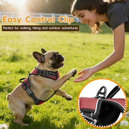 No Pull Dog Harness, No Chock Reflective Adjustable Soft Padded Pet Vest with Easy Control Handle, Easy Wearing with Stylish, Reinforced Knot, 2 Buckles - color: Antique Rose, size: X-Small