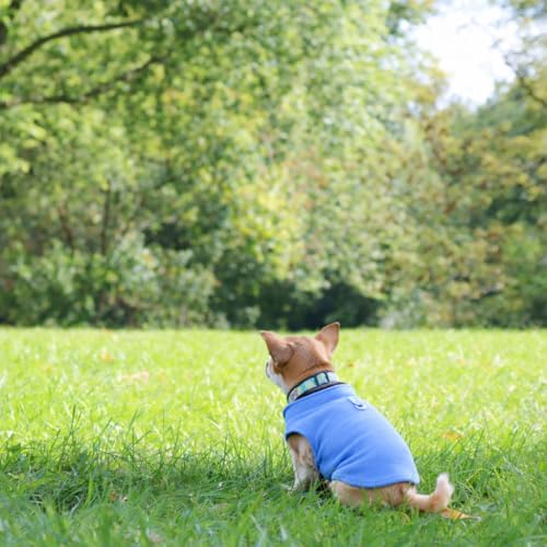 JACKO & CO - Fleece Vest Dog Sweater with Leash Ring - Soft, Warm & Lightweight Pullover Coat for Small & Medium Dogs, Puppies & Cats - Cozy Fall/Winter/Spring Pet Jacket (Blue, Small 4-6lbs) - color: Blue, size: S (4-6lbs)