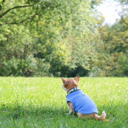 JACKO & CO - Fleece Vest Dog Sweater with Leash Ring - Soft, Warm & Lightweight Pullover Coat for Small & Medium Dogs, Puppies & Cats - Cozy Fall/Winter/Spring Pet Jacket (Blue, Small 4-6lbs) - color: Blue, size: S (4-6lbs)