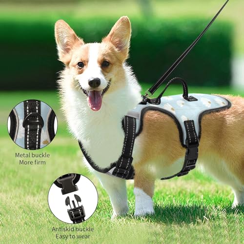 Daisy Flower Blue Reflective Dog Walking Gear for Dog pet Dog Training Control Vest for Walking at Night Chaleco para perro - size: M