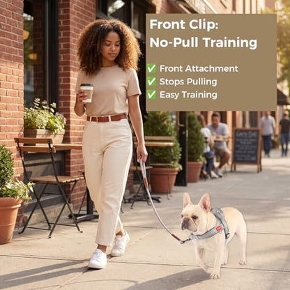 No Pull Dog Harness with Handle, Boston Terrier Adjustable Reflective Dog Vest, Breathable Air Mesh Padded Pet Harness with Front Leash Clip for Small Medium Dogs, Light Grey, M - color: Light Grey, size: Medium