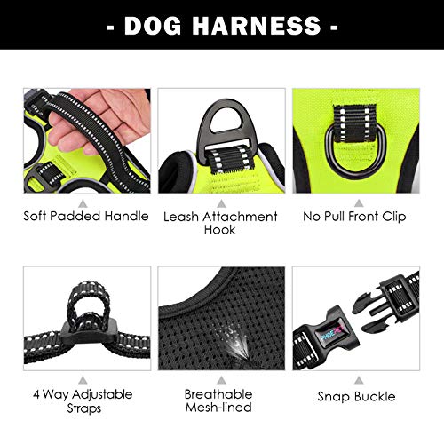 PHOEPET No Pull Dog Harnesses for Small Dogs Reflective Adjustable Front Clip Vest with Handle 2 Metal Rings 3 Buckles [Easy to Put on & Take Off](S, Green) - color: Green, size: Small