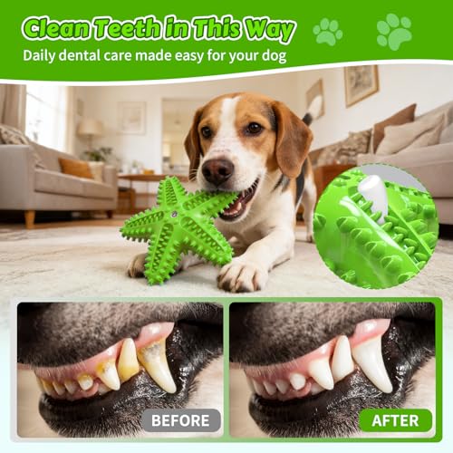 Dog Chew Toys Floating Squeaky Toy for Aggressive Chewers Toothbrush Teething Cleaning Toys Outdoor Swimming Interactive Tough Toys for Medium and Large Dogs - color: Starfish-green