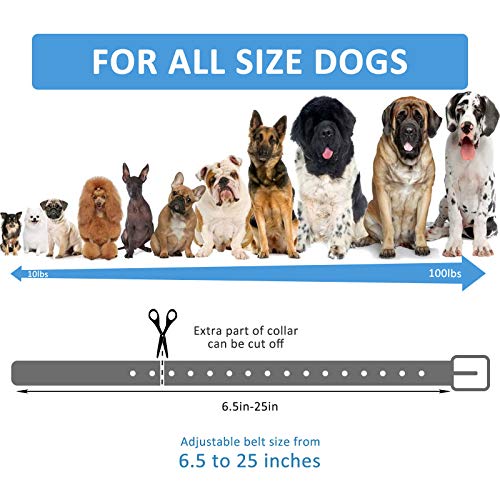Replacement Collar Strap, Compatible with Petsafe,PATPET,Sportdog,Garmin,Dogtra,etc Most Training Collar/Fence Reciever, 3/4',Adjustable,Metal Buckled,Waterproof (Black Pack2) - color: Black Pack2